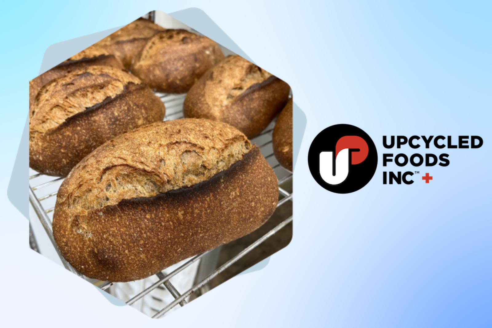Upcycled Foods portfolio expands sustainable product development