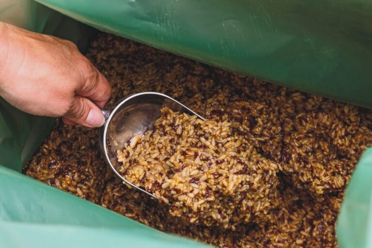 BreadPartners' Reddi-Soaked Grains