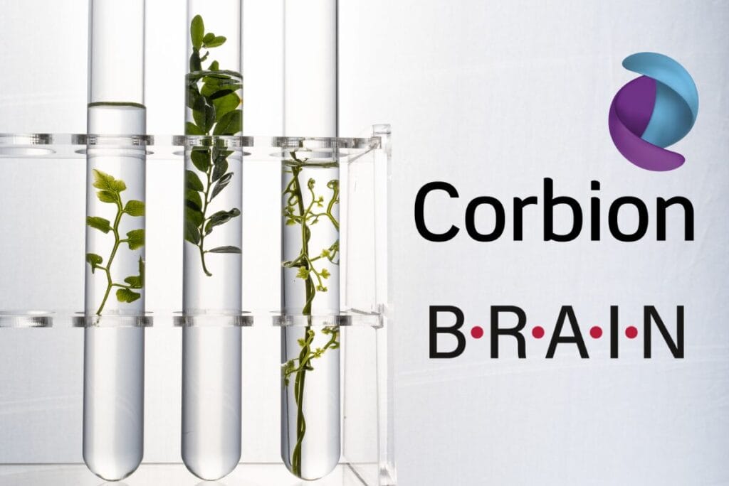 Corbion partnership sparks nature-based ingredient innovation