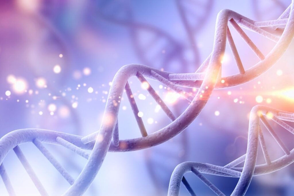 Staying flexible with shifting GLP-1 dietary requirements