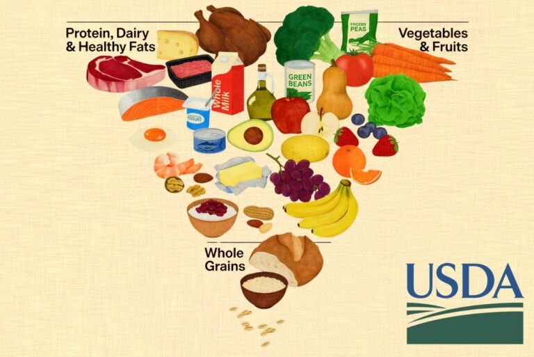 New dietary guidelines include an inverted food pyramid