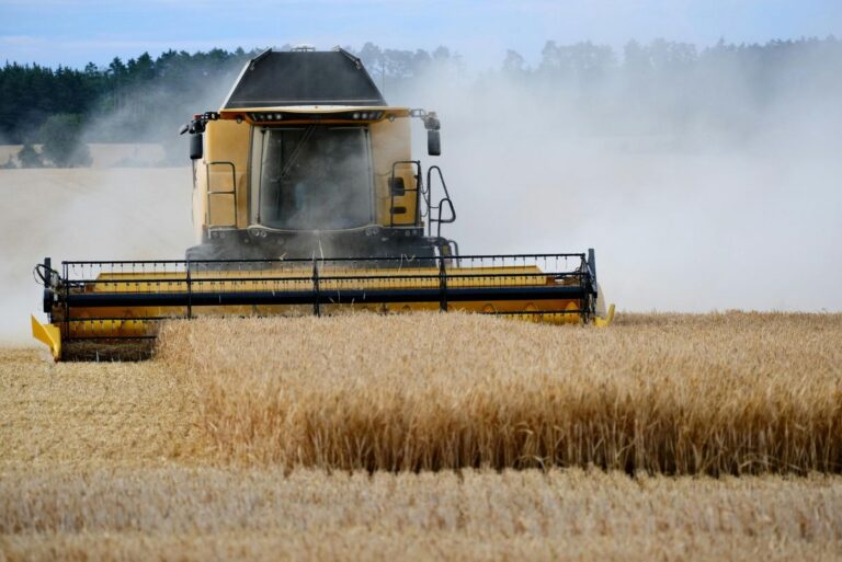 Farmer plowing field