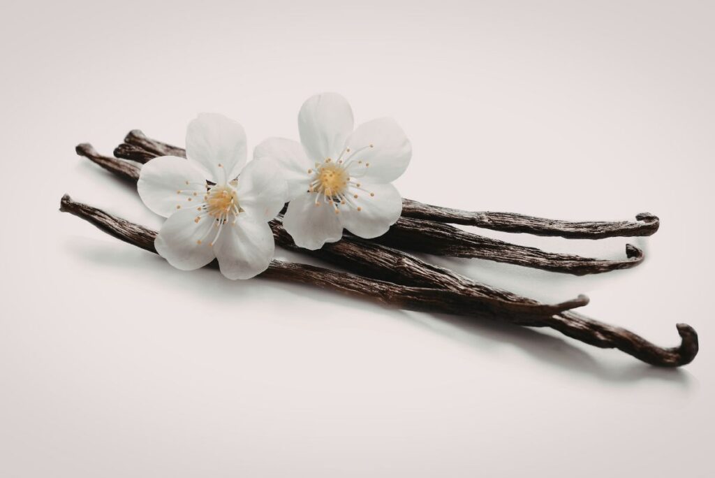 Lallemand natural vanillin