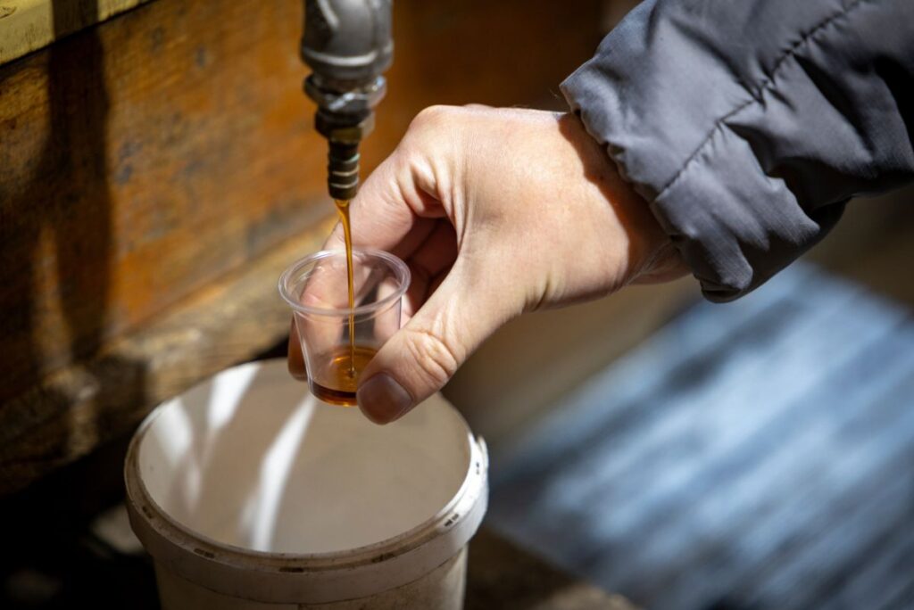 Maple syrup and how it fits into clean labels