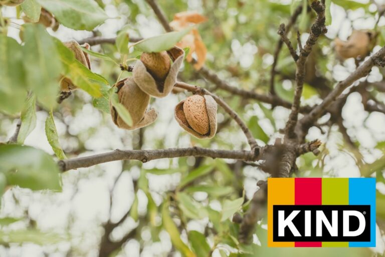 Kind’s almond initiative solidifies regen ag scalability