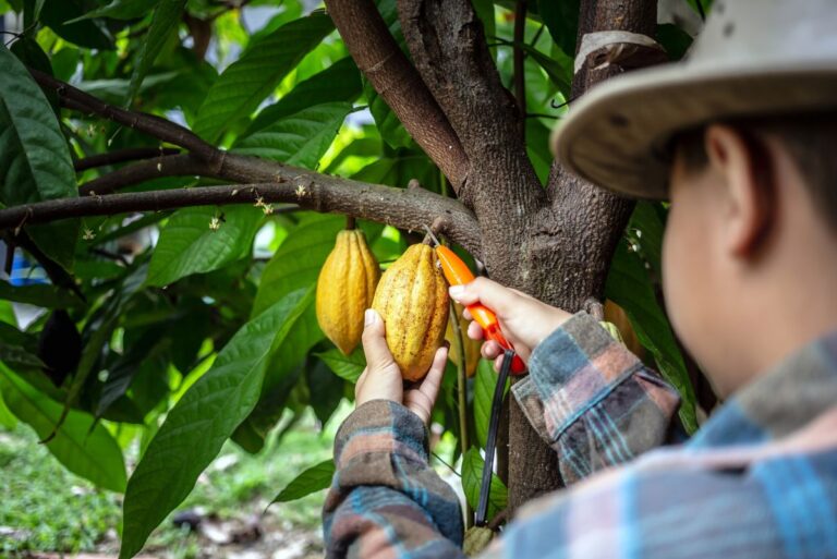 Verified supplier partners critical for avoiding food fraud