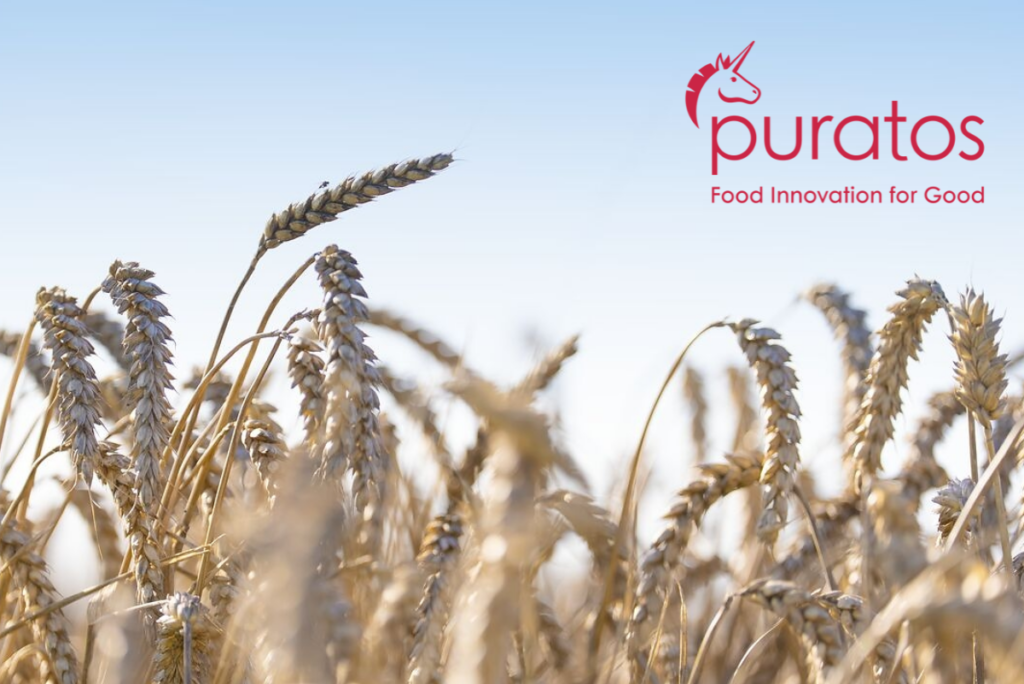 Wheat field and blue sky with puratos logo in upper right corner