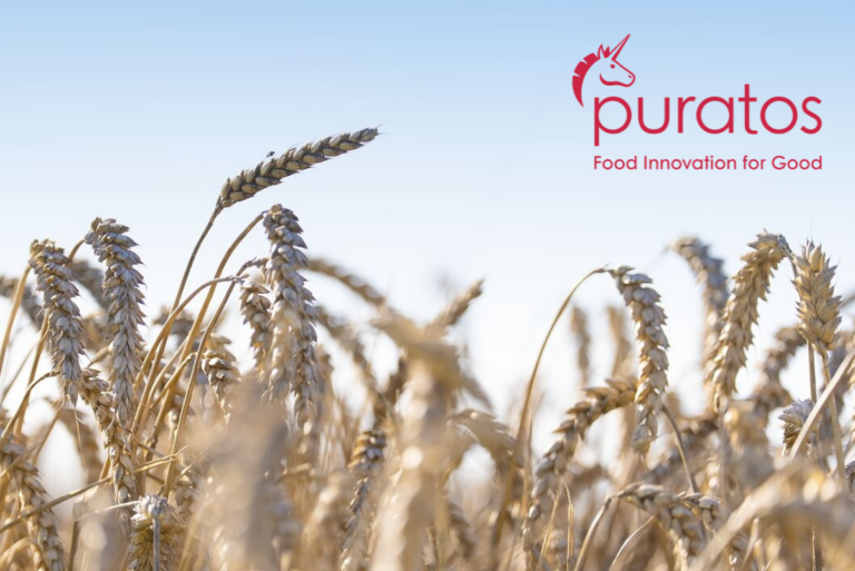 Wheat field and blue sky with puratos logo in upper right corner